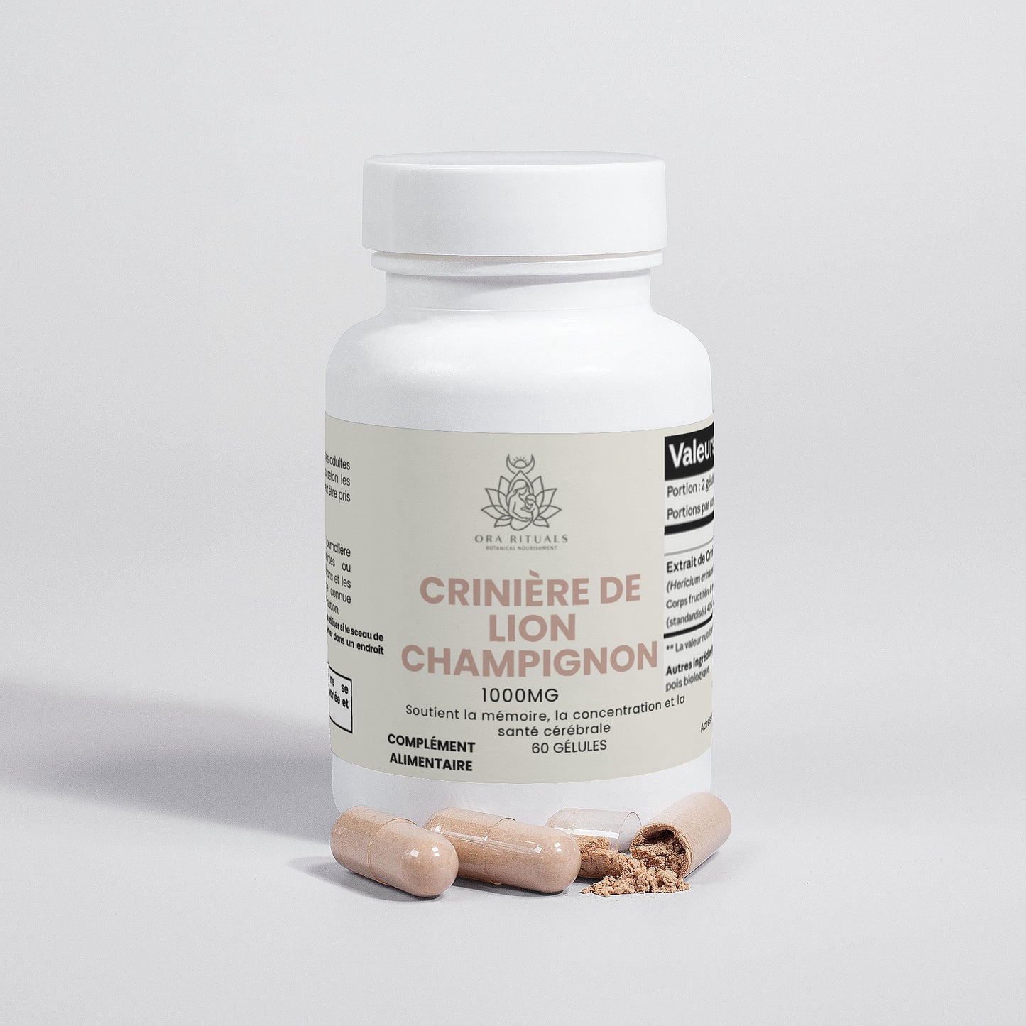 Crinière de lion (champignon) FR
