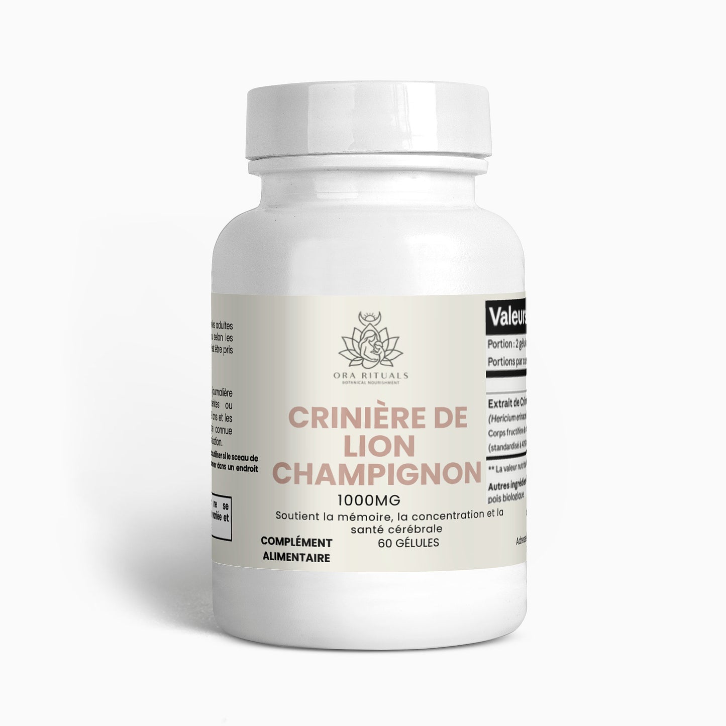 Crinière de lion (champignon) FR
